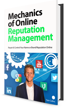 mechanics of online online reputation management
